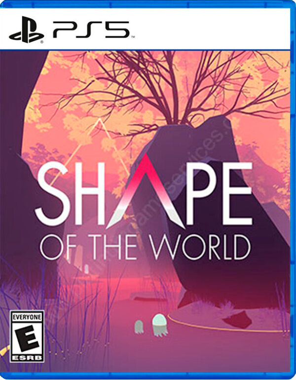 Shape of the World PS5