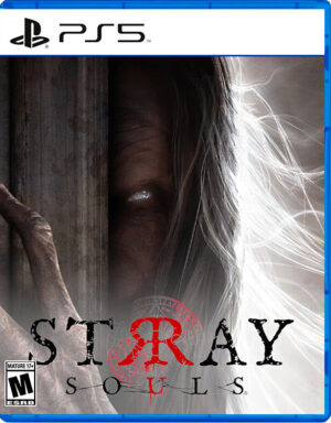 Stray-Souls-5 Stray Souls PS5