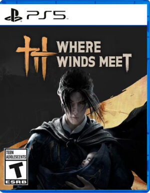 Where Winds Meet PS5