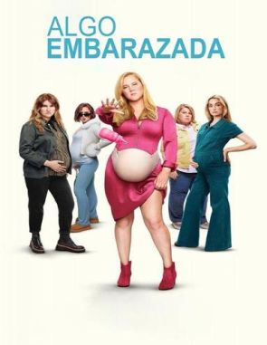Algo embarazada (Baby Mama) (2008) (Películas)
