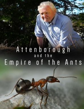 Attenborough and the Empire of the Ants (2024) (Películas)