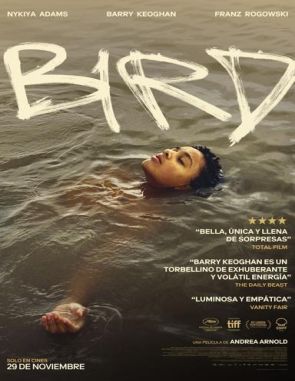 Bird (2024) (Películas)