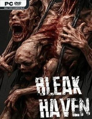Bleak Haven (PC)