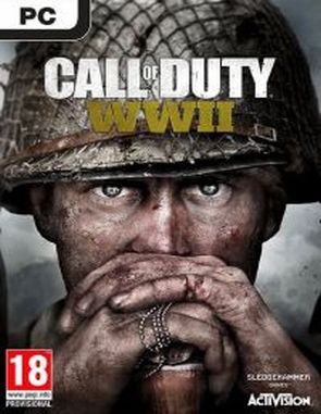 Call of Duty: W (PC)