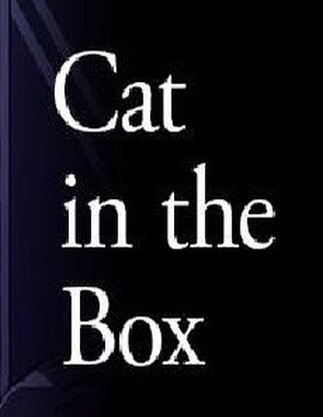 Cat in the Box (PC)