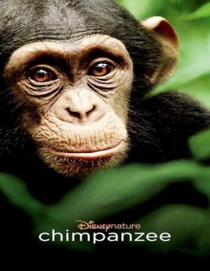 Chimpances Chimpancés (2014) (Películas)