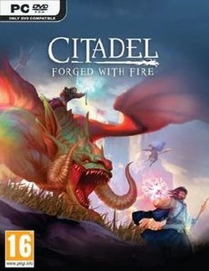 Citadel Forged with Fire (PC)