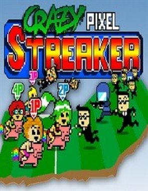 Crazy Pixel Streaker (PC)