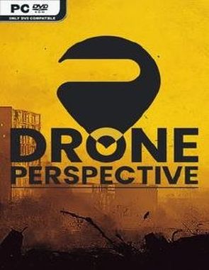 Drone Perspective (PC)
