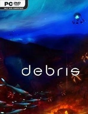 Debris (PC)