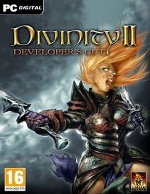 Divinity II: Developer's Cut (PC)