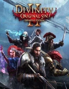 Divinity: Original Sin 2 Definitive Edition (PC)