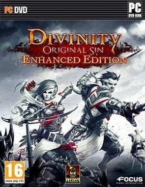 Divinity: Original Sin Enhanced Edition (PC)