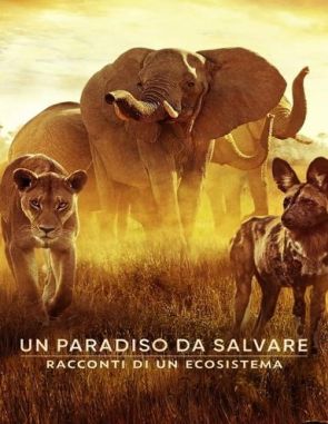 El paraíso que sobrevive: Un legado familiar (2024) (Películas)