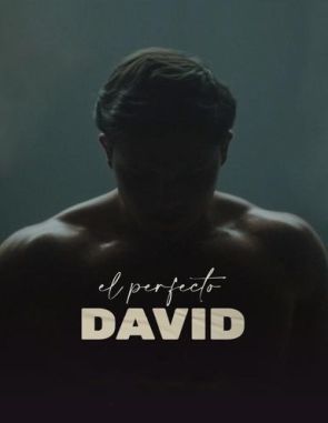 El perfecto David (2021) (Películas)