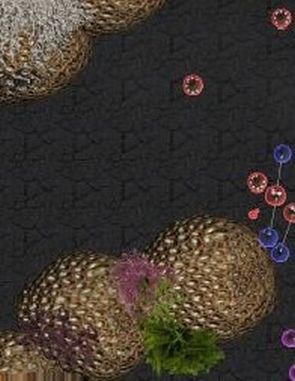 Evolution_(Early_Access) Evolution (PC)