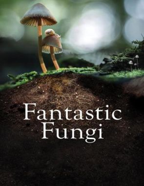 Fantastic Fungi (2019) (Películas)