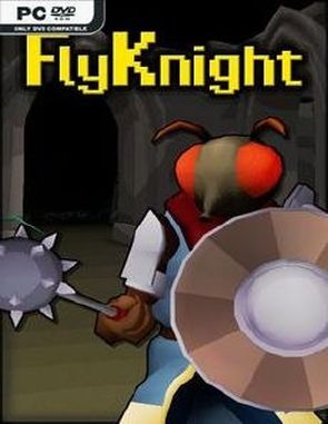 FlyKnight (PC)