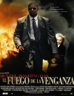 Hombre en llamas (2004) (Películas)