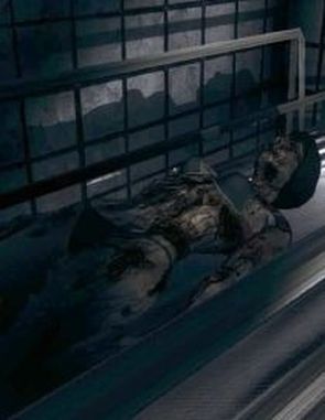 Horror Hospital (PC)