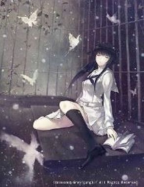 Kara no Shojo: The Second Episode (PC)