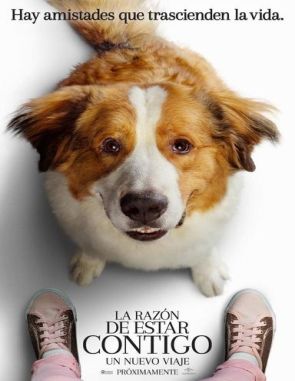 La razón de estar contigo 2: Un nuevo viaje (2023) (Películas)