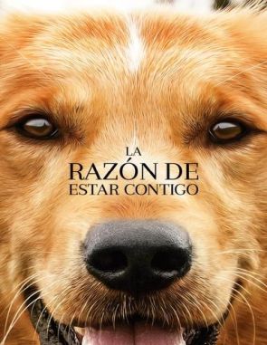 La razón de estar contigo (2016) (Películas)