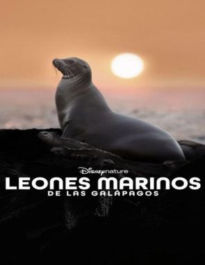 Leones marinos de las Galápagos (2023) (Películas)