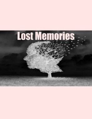 Lost Memories (PC)