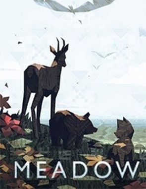 Meadow (PC)