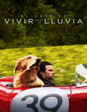 Mi amigo Enzo (2019) (Películas)