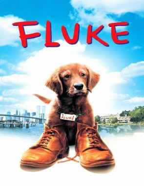 Mi_amigo_Fluke Mi amigo Fluke (1995) (Películas)