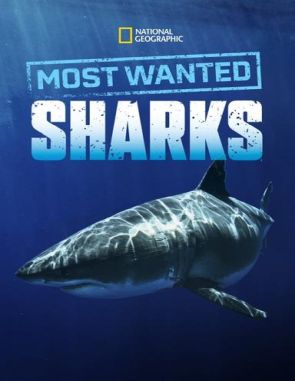 Most Wanted Sharks (2021) (Películas)