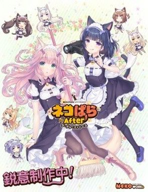 NEKOPARA After: La Vraie Famille (PC)
