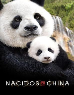 Nacidos en China (2016) (Películas)