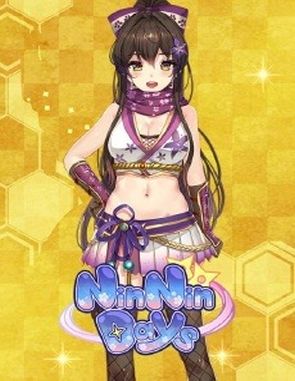 NinNinDays NinNinDays (PC)