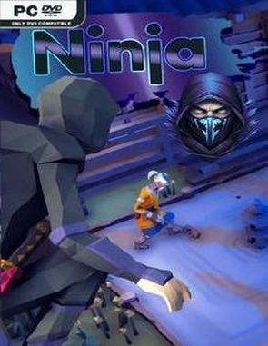 Ninja (PC)