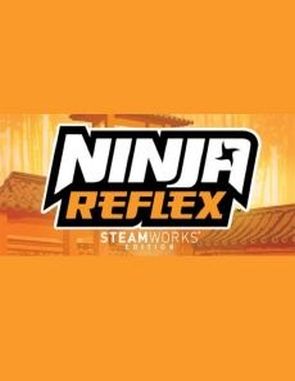 Ninja Reflex: Steamworks Edition (PC)