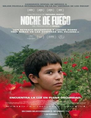 Noche de fuego (2021) (Películas)