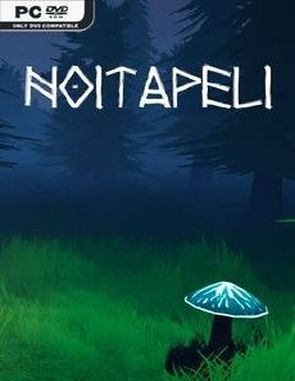 Noitapeli (PC)