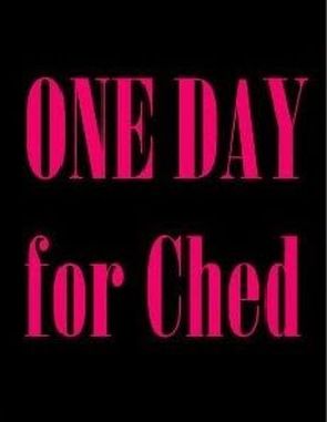 One Day for Ched (PC)