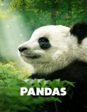 Pandas: El camino a casa (2018) (Películas)