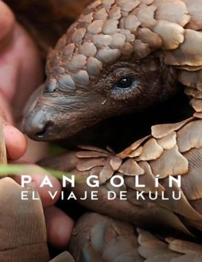 Pangolin: El viaje de Kulu (2023) (Películas)