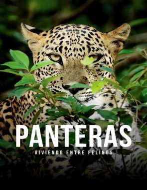 Panteras_viviendo_entre_felinos Panteras: Viviendo entre felinos (2023) (Películas)