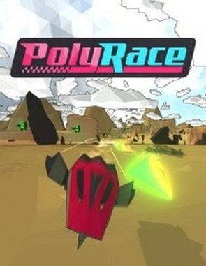 Poly Race (PC)