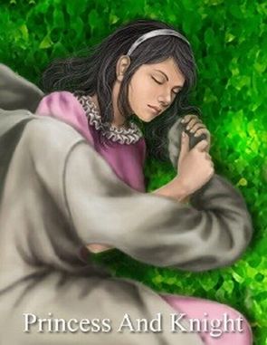Princess and Knight (PC)