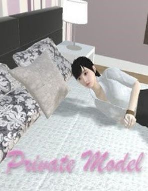 Private_Model Private Model (PC)