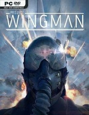 Project Wingman (PC)