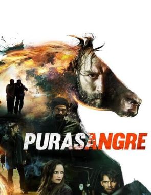 Purasangre Purasangre (2016) (Películas)