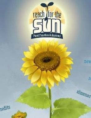 Reach_for_the_Sun Reach for the Sun (PC)